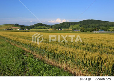 北海道の風景「空知地方の田園風景」（北海道栗山町） 72886729