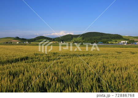 北海道の風景「空知地方の田園風景」(北海道栗山町) 北海道の風景「空知地方の田園風景」(北海道栗山町) 72886768