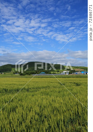 北海道の風景 空知地方の田園風景 北海道栗山町 の写真素材