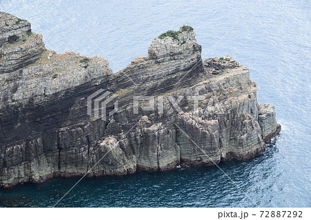 鹿島断崖と奇岩 72887292
