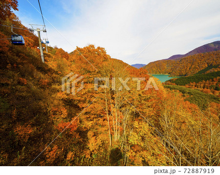 【新潟】苗場 ドラゴンドラから見る紅葉の絶景 72887919