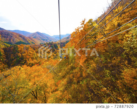 【新潟】苗場 ドラゴンドラから見る紅葉の絶景 【新潟】苗場 ドラゴンドラから見る紅葉の絶景 72887920
