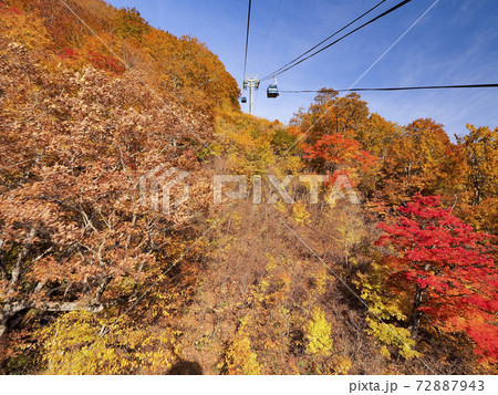 【新潟】苗場 ドラゴンドラから見る紅葉の絶景 72887943
