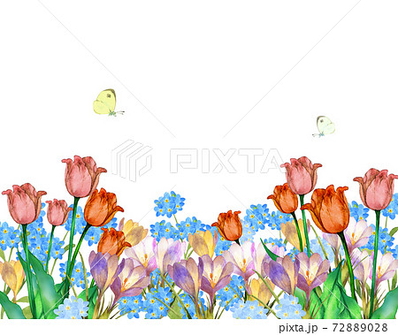 春の花壇とチョウチョの水彩イラストのイラスト素材