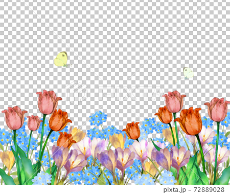春の花壇とチョウチョの水彩イラストのイラスト素材