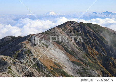 雲上の世界、大雲海、白馬岳 雲上の世界、大雲海、白馬岳 72890215