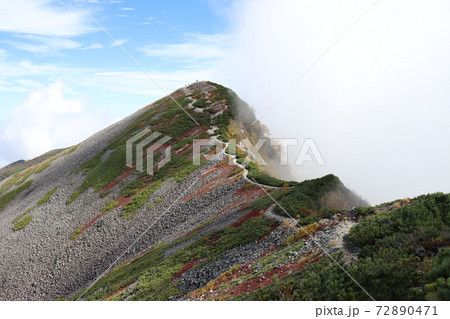 雲上の世界、大雲海、白馬岳、紅葉 72890471