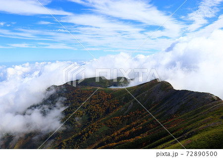 雲上の世界、大雲海、白馬岳、紅葉 雲上の世界、大雲海、白馬岳、紅葉 72890500