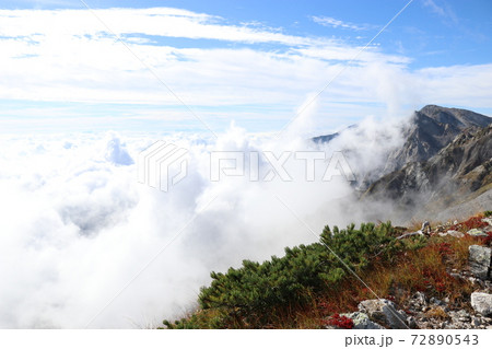 雲上の世界、大雲海、白馬岳、紅葉 雲上の世界、大雲海、白馬岳、紅葉 72890543