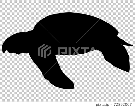 Archelon_Silhouette 72892067