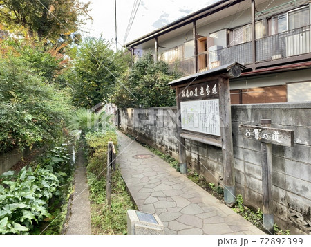 お鷹の道 お鷹の道 72892399