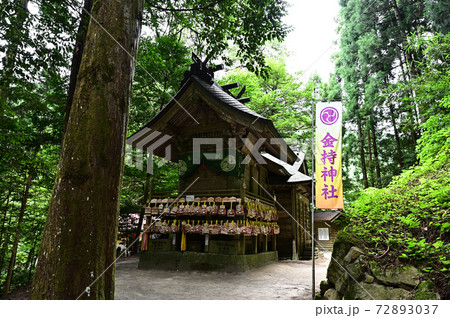 金持神社より 72893037