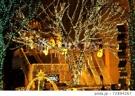 クリスマスの夢広がる金色の世界 72894267