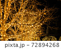 金色に染まるクリスマス・イルミネーション 72894268