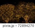 金色に照らすクリスマス・イルミネーション 72894270