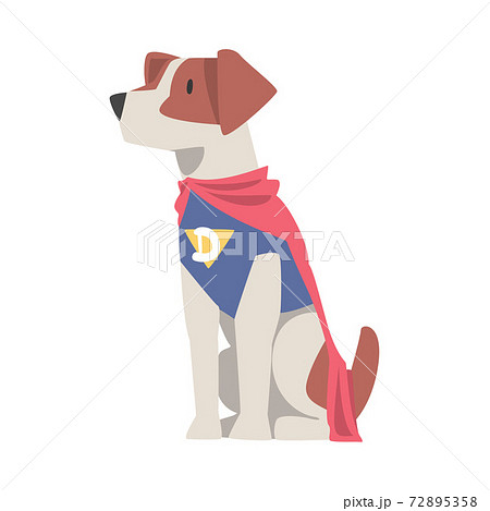 Cute Dog in Superhero Costume, Funny Pet Animal Character Dressed in Costume for Masquerade, Carnival, Party, Holiday Celebration Cartoon Style Vector Illustration Cute Dog in Superhero Costume, Funny Pet Animal Character Dressed in Costume for Masquerade, Carnival, Party, Holiday Celebration Cartoon Style Vector Illustration 72895358