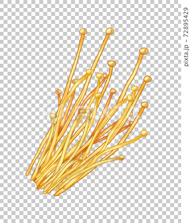 Vegetable enoki ② (illustration) Can also be used for pots, bento boxes, and cooking images Combination series Vegetable enoki ② (illustration) Can also be used for pots, bento boxes, and cooking images Combination series 72895429