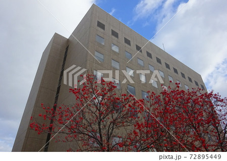 札幌家庭裁判所・札幌簡易裁判所 札幌市中央区 札幌家庭裁判所・札幌簡易裁判所 札幌市中央区 72895449