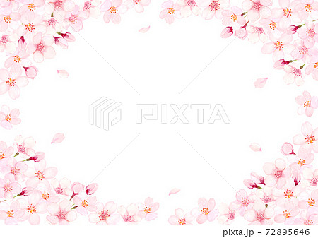 桜の花の水彩イラストフレームのイラスト素材