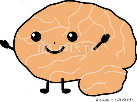 健康な脳 健康な脳 72895847