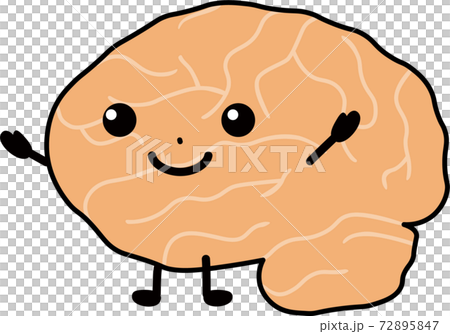 健康な脳 健康な脳 72895847