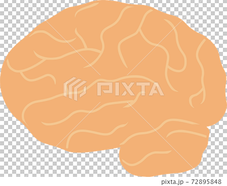 脳枠なし 脳枠なし 72895848
