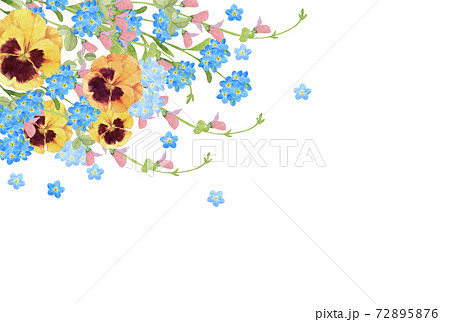 春の花のデコレーション　水彩イラスト 72895876