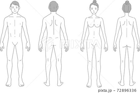 ボディサンプル 男女 ヌードのイラスト素材