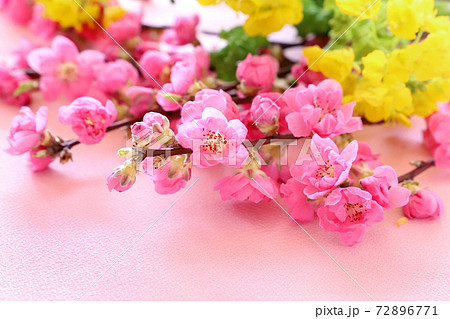 ひなまつり　桃の花　菜の花　 72896771
