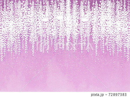 白い藤の花とピンクの背景のイラスト素材 7273
