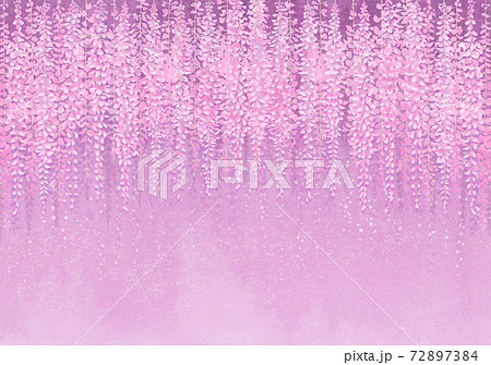 幻想的なピンク 藤の花のイラスト背景のイラスト素材