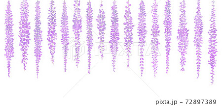 藤の花のアナログ風イラスト 神秘的な紫のイラスト素材 7273