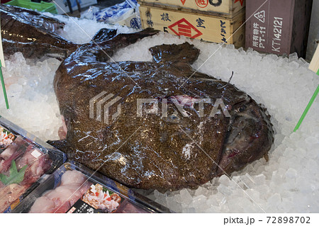 アンコウ　鮟鱇　あんこう　キアンコウ　冬　魚　茨城　大洗　冬の味覚　名物　鮮魚 72898702