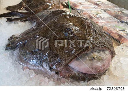 アンコウ 鮟鱇 あんこう キアンコウ 冬 魚 茨城 大洗 冬の味覚 名物 鮮魚の写真素材