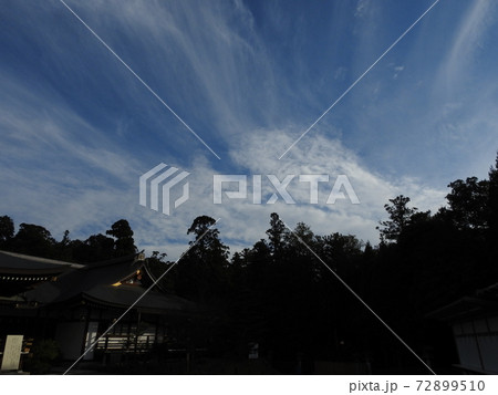 大神神社の写真素材