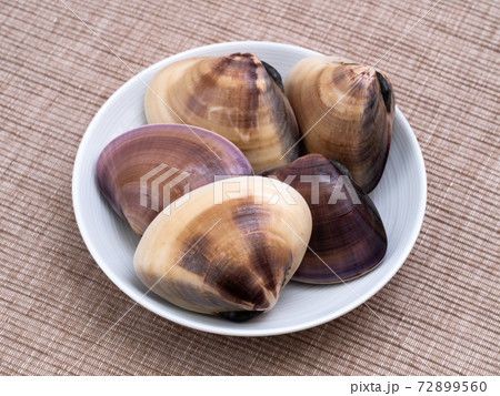 生のハマグリ 生のハマグリ 72899560