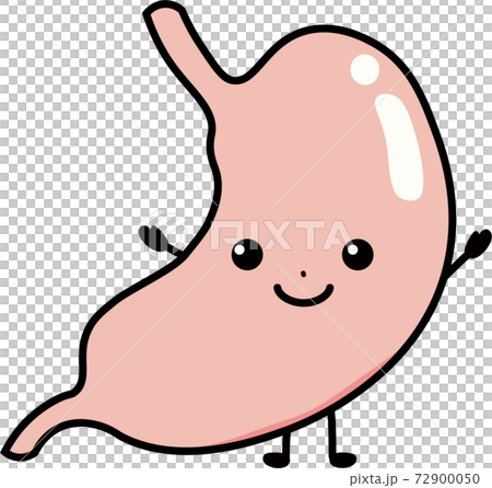 健康的胃 健康的胃 72900050