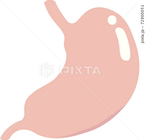 胃枠なし 胃枠なし 72900051