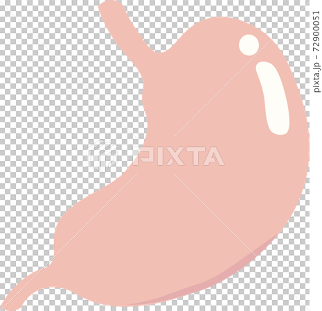 胃枠なし 胃枠なし 72900051