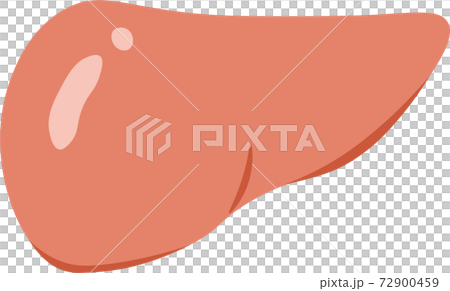 No liver frame 72900459