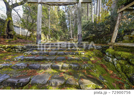 苔むした平泉寺白山神社 精進坂と一の鳥居(福井県勝山市) 苔むした平泉寺白山神社 精進坂と一の鳥居(福井県勝山市) 72900756