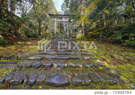 苔むした平泉寺白山神社　精進坂と一の鳥居（福井県勝山市） 72900764