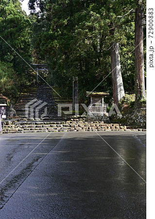 平泉寺白山神社 精進坂(福井県勝山市) 平泉寺白山神社 精進坂(福井県勝山市) 72900883