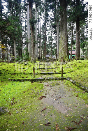 苔むした平泉寺白山神社　池尾明神（福井県勝山市） 72900966