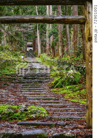 平泉寺白山神社　三の宮への参道（福井県勝山市） 72901001
