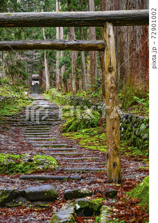 平泉寺白山神社 三の宮への参道(福井県勝山市) 平泉寺白山神社 三の宮への参道(福井県勝山市) 72901002