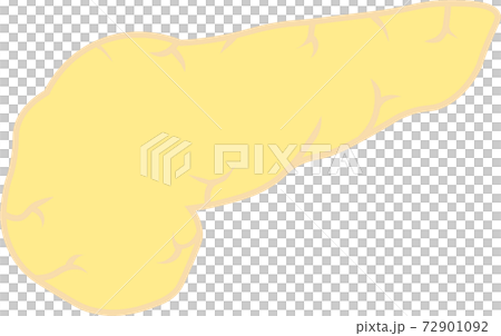 すい臓枠なし 72901092