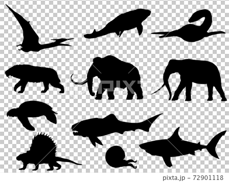 古代生物シルエット セットのイラスト素材