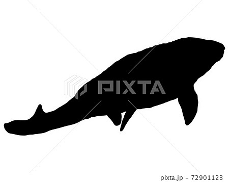 モササウルス_シルエット 72901123