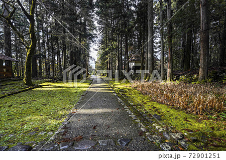 苔むした平泉寺白山神社　参道（福井県勝山市） 72901251
